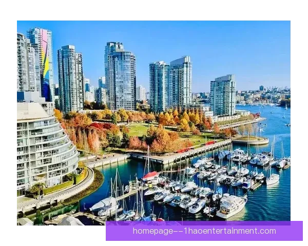 2026世界杯多伦多举办足球主题路跑活动 展现城市活力与足球热情